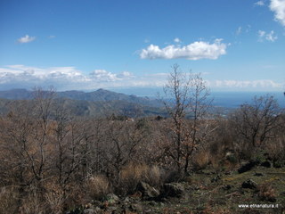 Grotta del Porcospino